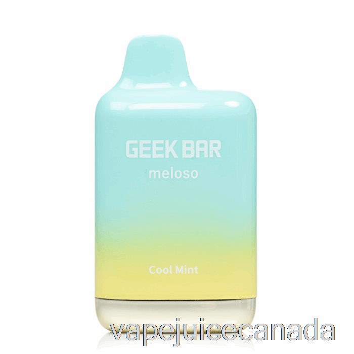 Vape Juice Geek Bar Meloso MAX 9000 Disposable Cool Mint